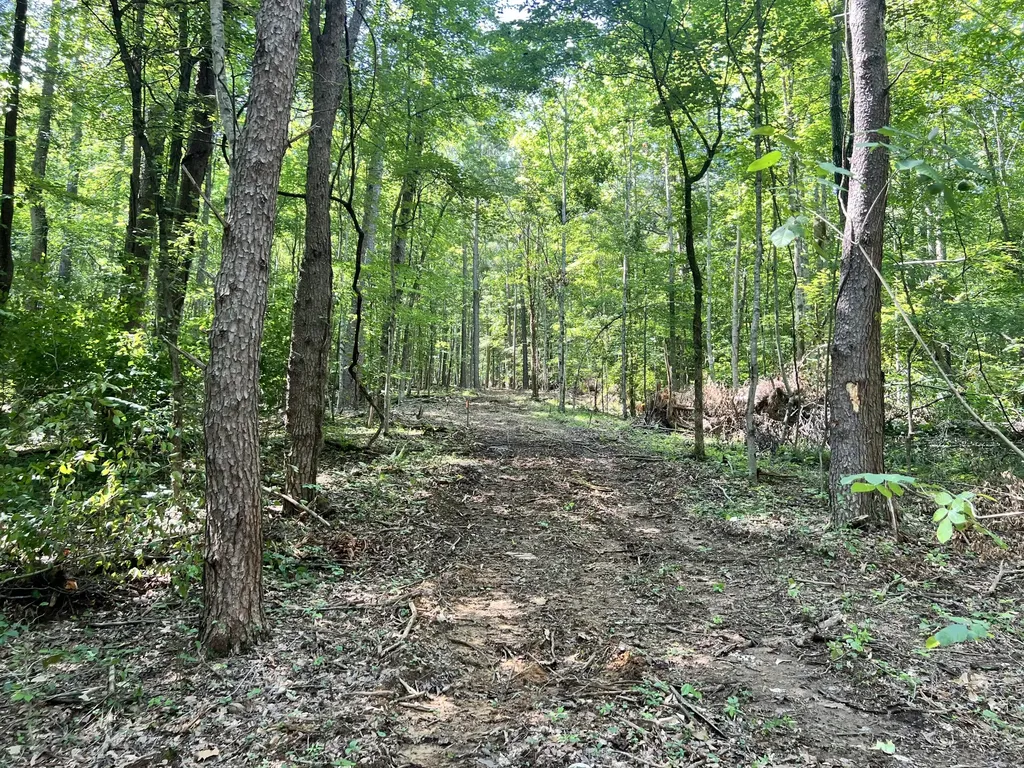 0000 State Highway 1546 Monticello KY 42633