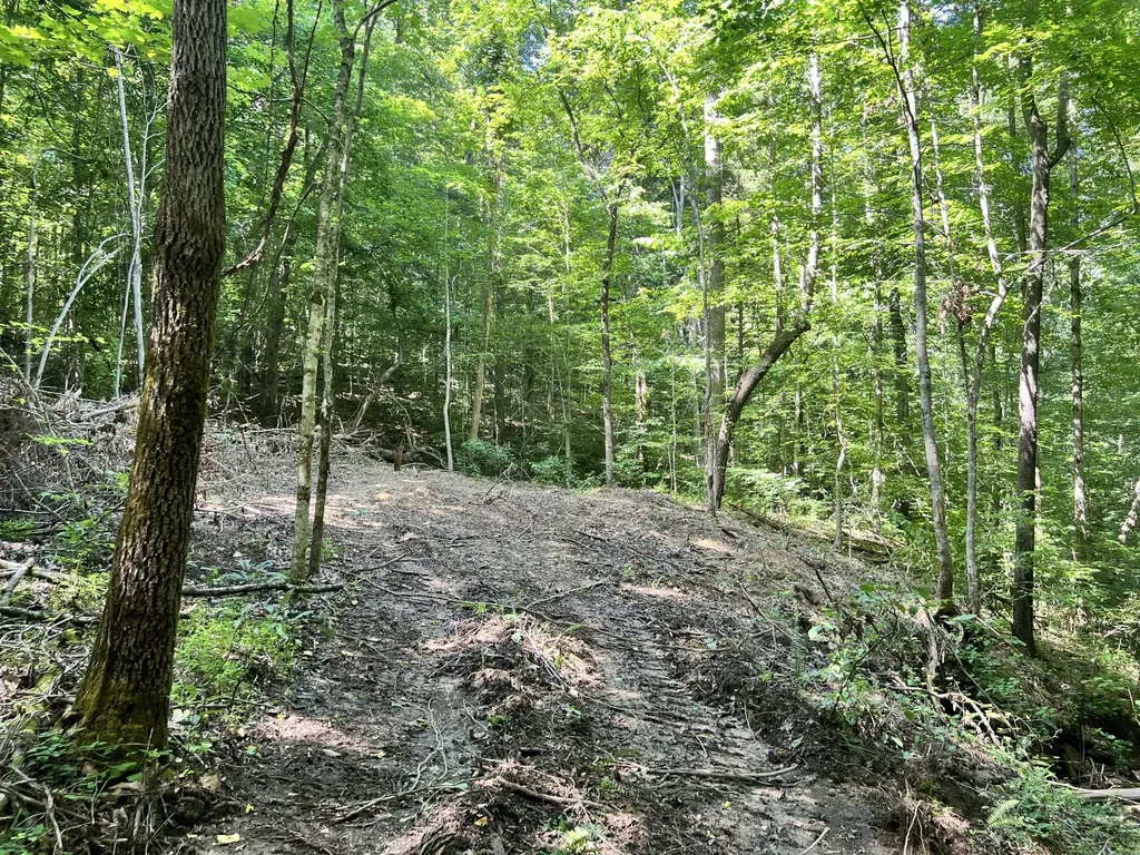0000 State Highway 1546 Monticello KY 42633