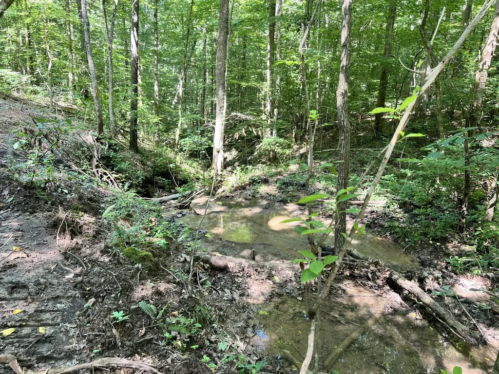 0000 State Highway 1546 Monticello KY 42633
