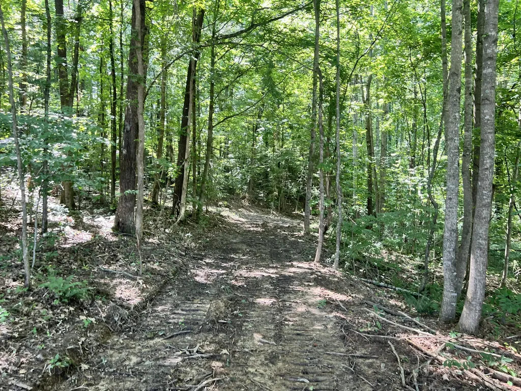 0000 State Highway 1546 Monticello KY 42633
