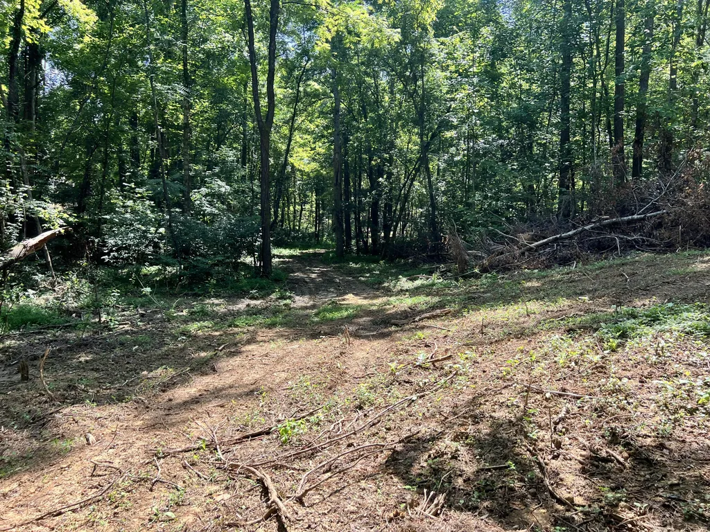 0000 State Highway 1546 Monticello KY 42633
