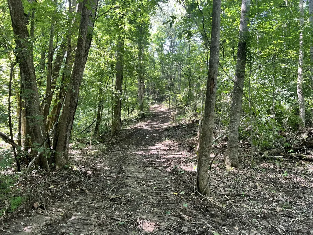 0000 State Highway 1546 Monticello KY 42633