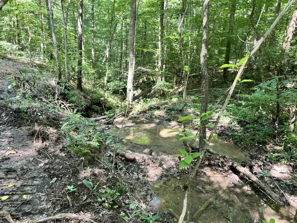 0000 State Highway 1546 Monticello KY 42633