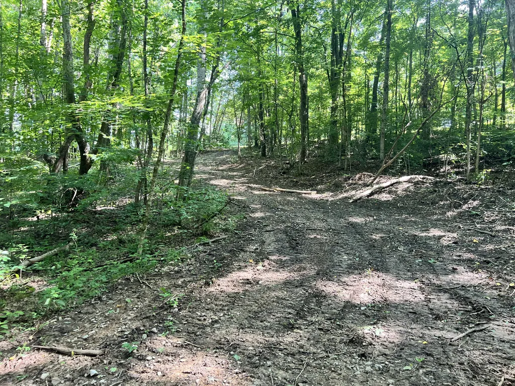 0000 State Highway 1546 Monticello KY 42633