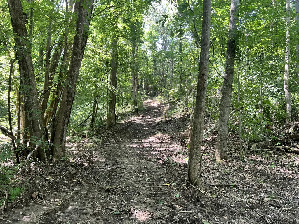 0000 State Highway 1546 Monticello KY 42633