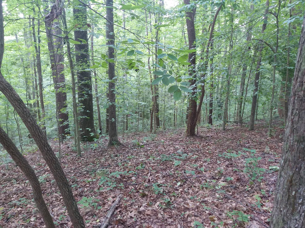 0000 State Highway 1546 Monticello KY 42633