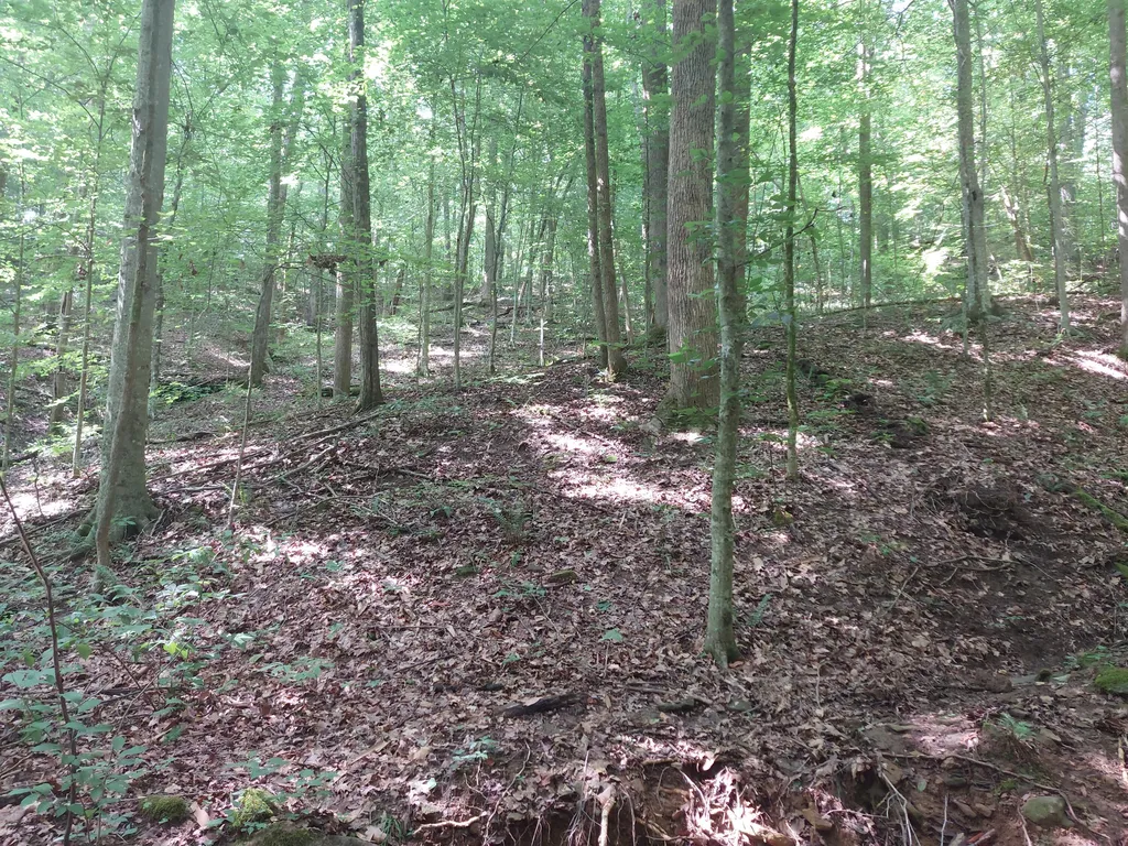 0000 State Highway 1546 Monticello KY 42633