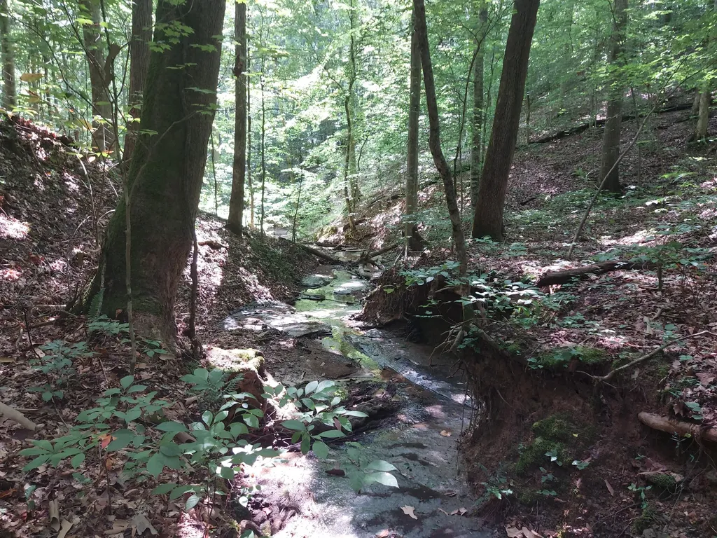 0000 State Highway 1546 Monticello KY 42633