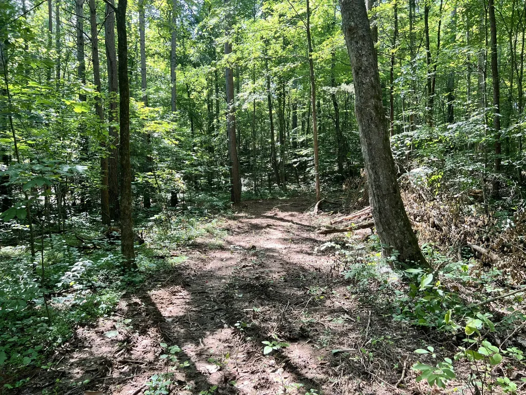 0000 State Highway 1546 Monticello KY 42633
