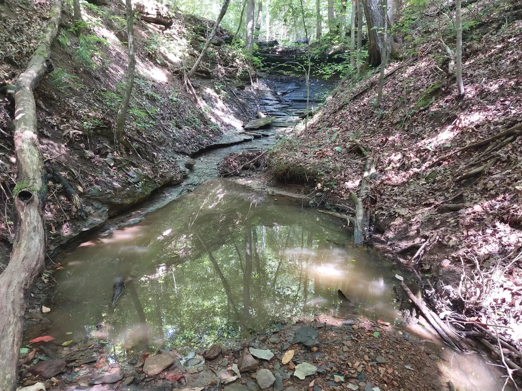 0000 State Highway 1546 Monticello KY 42633