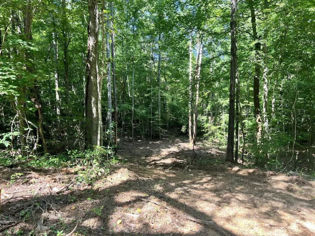 0000 State Highway 1546 Monticello KY 42633