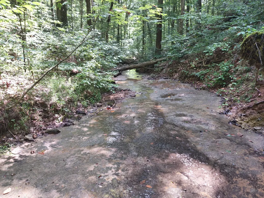 0000 State Highway 1546 Monticello KY 42633