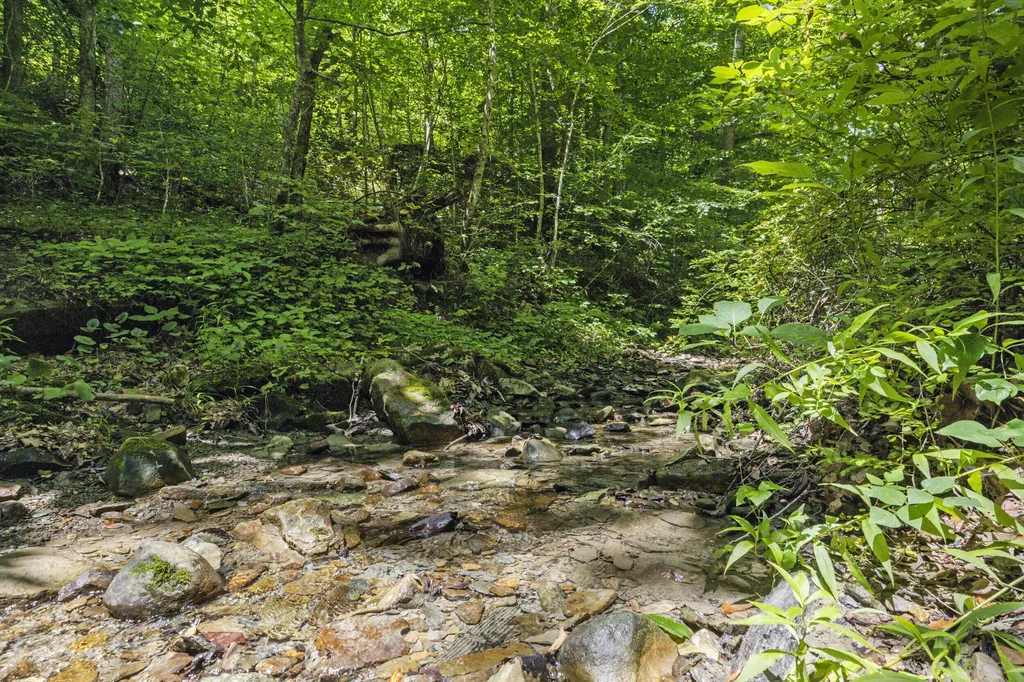 365 Johnny Morton Hollow Road Stanton KY 40380
