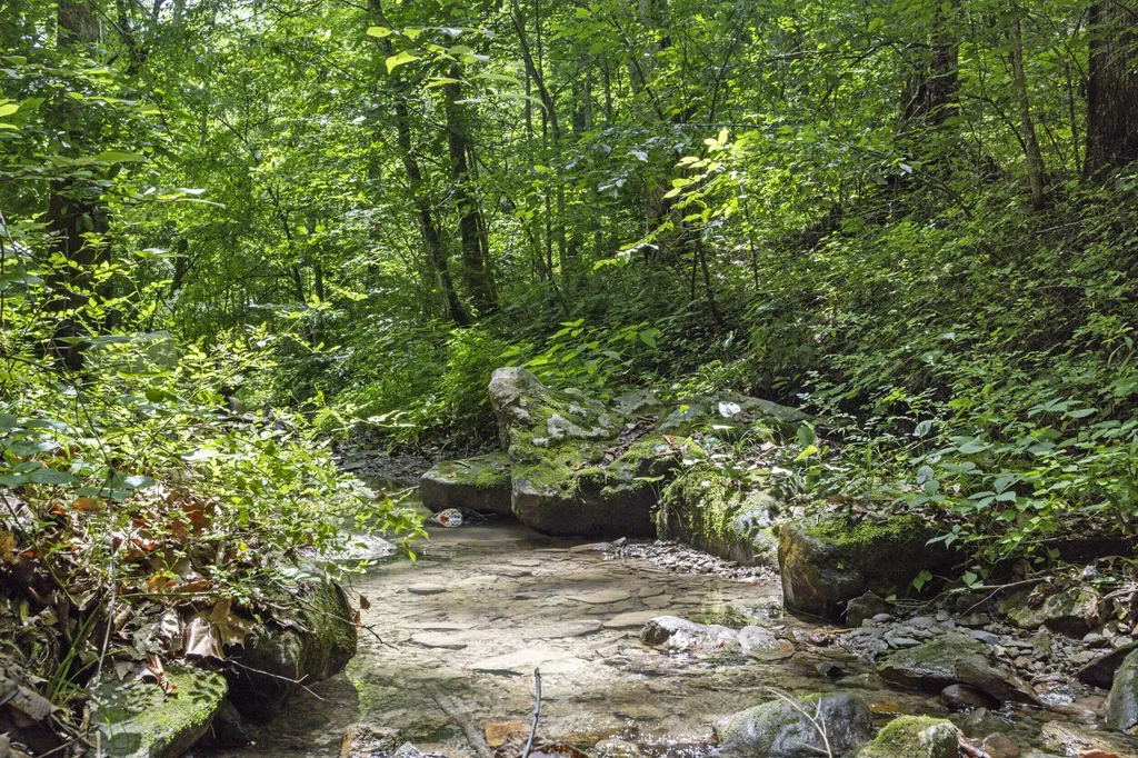365 Johnny Morton Hollow Road Stanton KY 40380