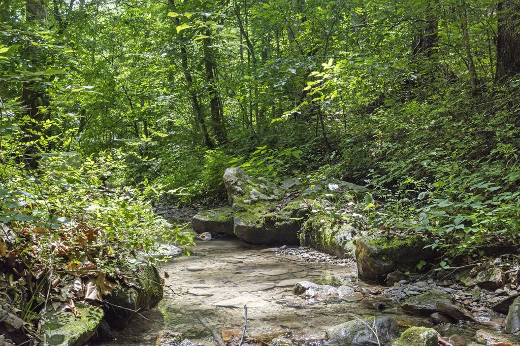 365 Johnny Morton Hollow Road Stanton KY 40380