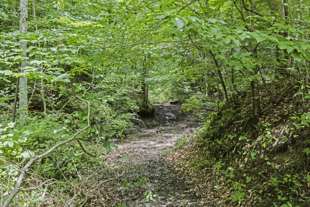 365 Johnny Morton Hollow Road Stanton KY 40380