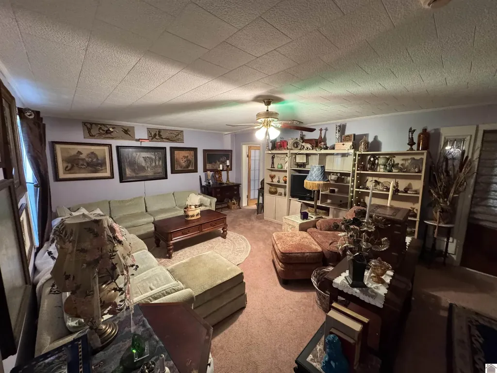 919 Troy Avenue Hickman KY 42050
