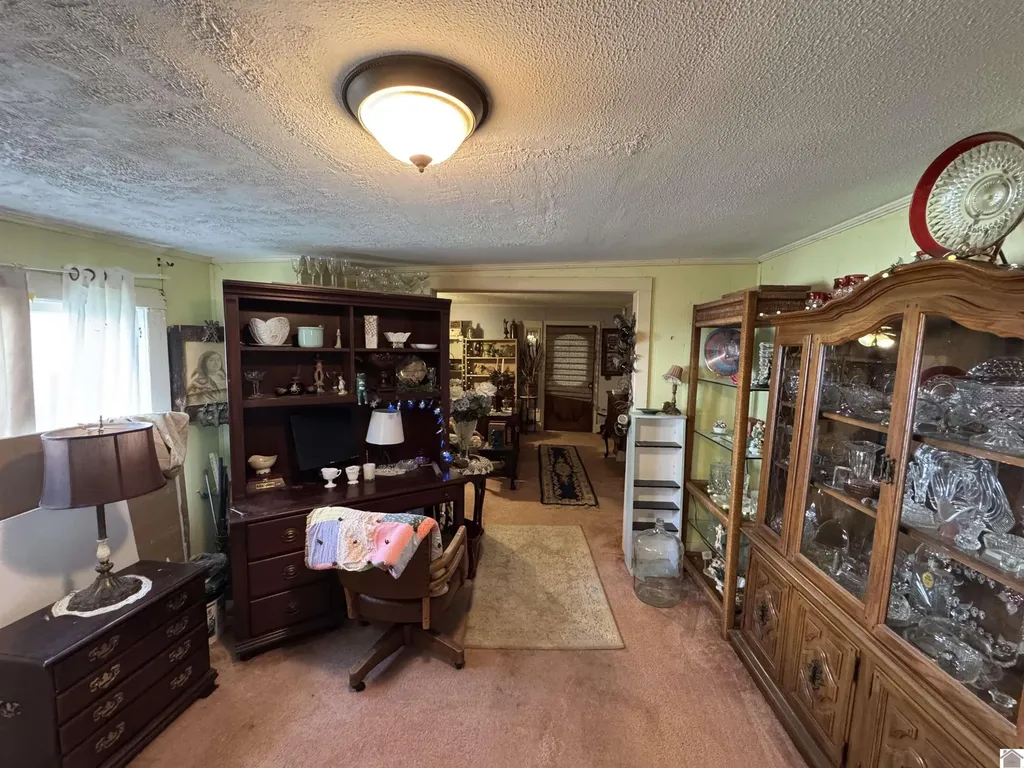 919 Troy Avenue Hickman KY 42050