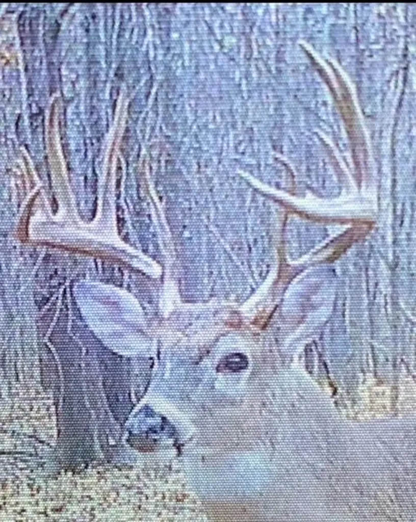 1385 Mayes Lane Paducah KY 42003