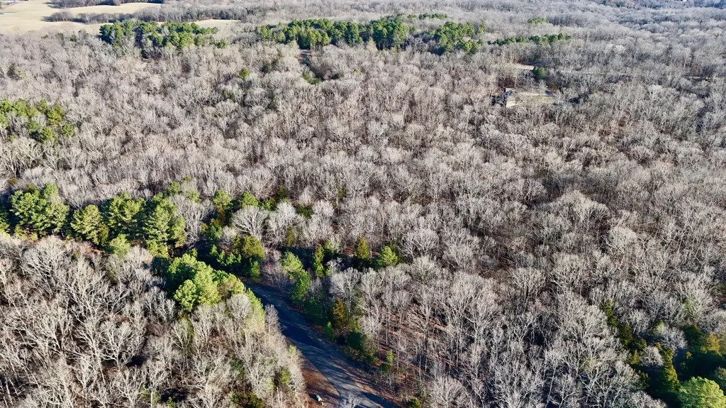 9999 Hills Hollow Road Murray KY 42071