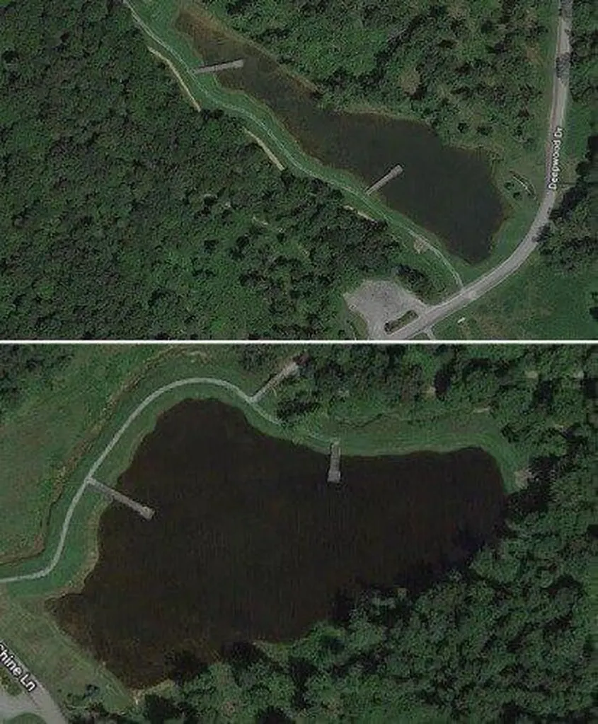 9999 Hills Hollow Road Murray KY 42071