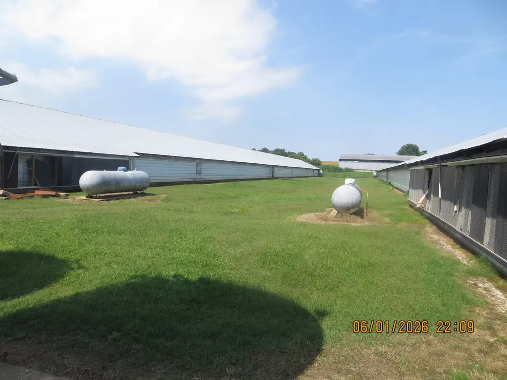4870 State Highway 288 Clinton KY 42031