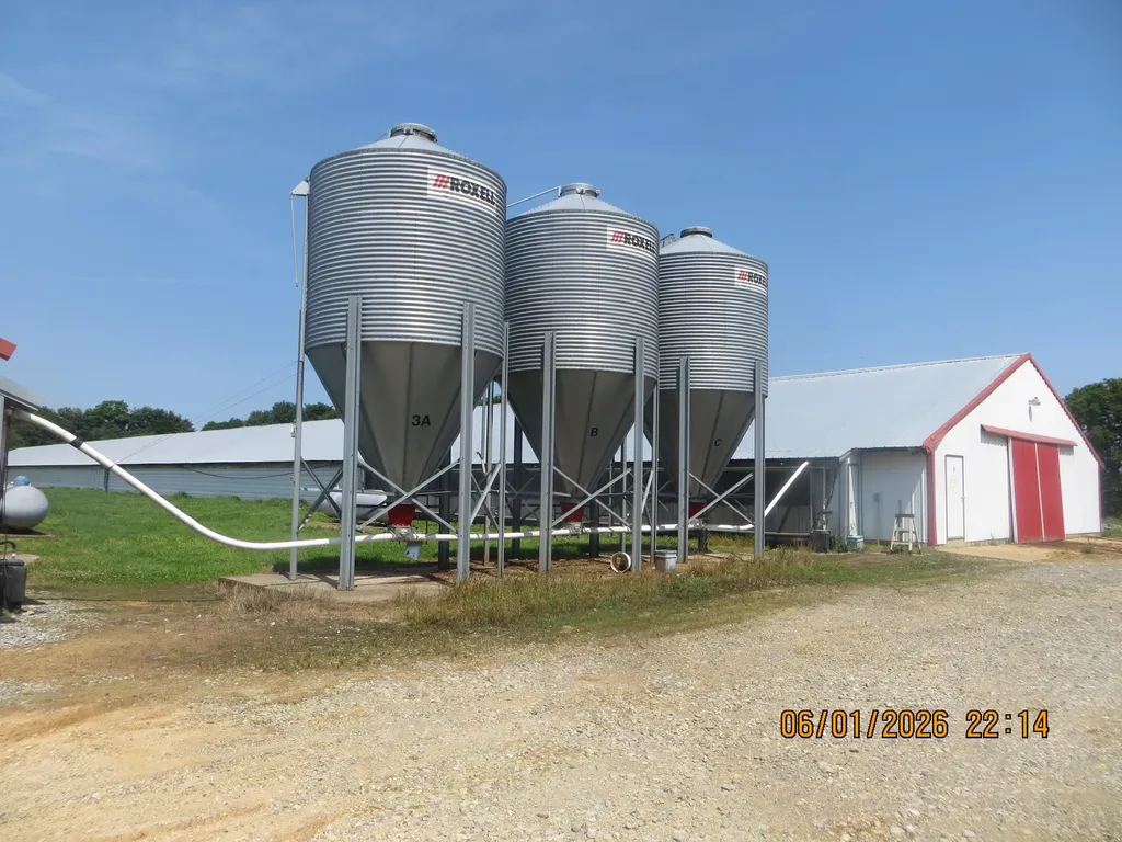 4870 State Highway 288 Clinton KY 42031