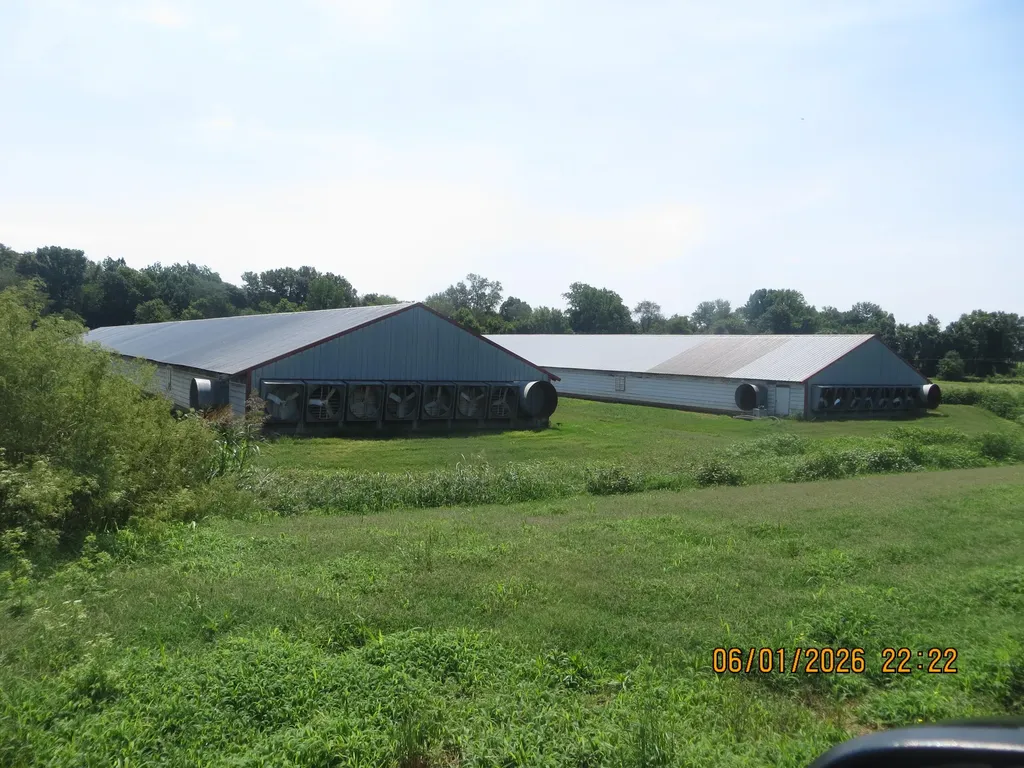 4870 State Highway 288 Clinton KY 42031