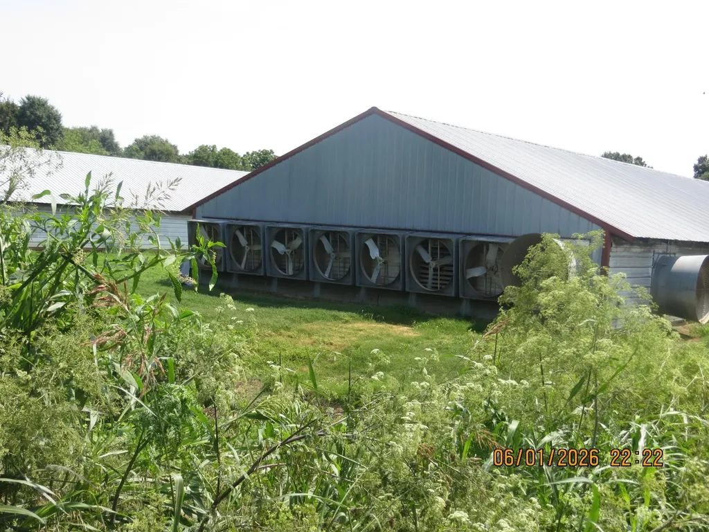 4870 State Highway 288 Clinton KY 42031