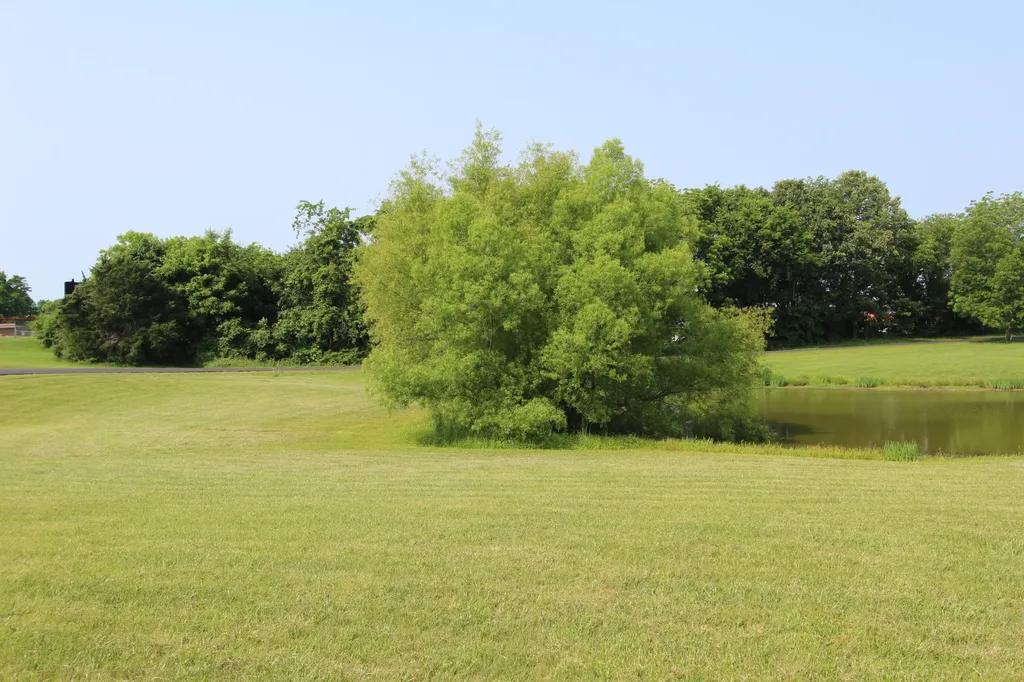Lot 1 Eagle Lake Drive Benton KY 42025