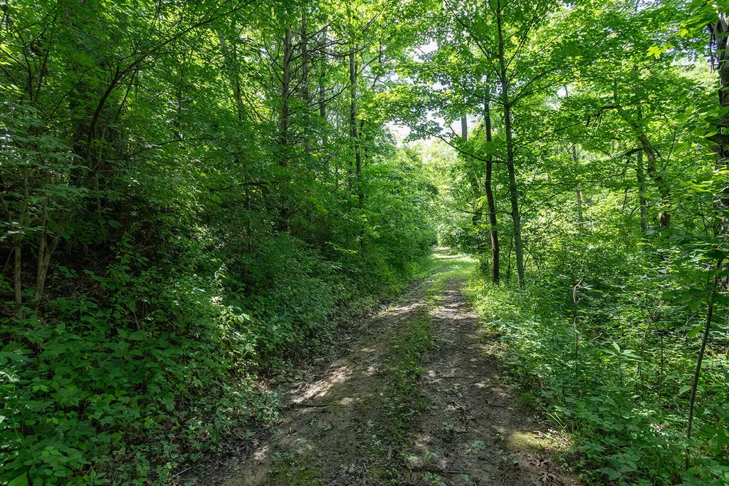 399 Harlow Lane Harrodsburg KY 40330