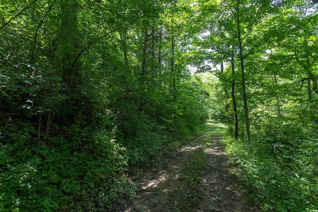 399 Harlow Lane Harrodsburg KY 40330