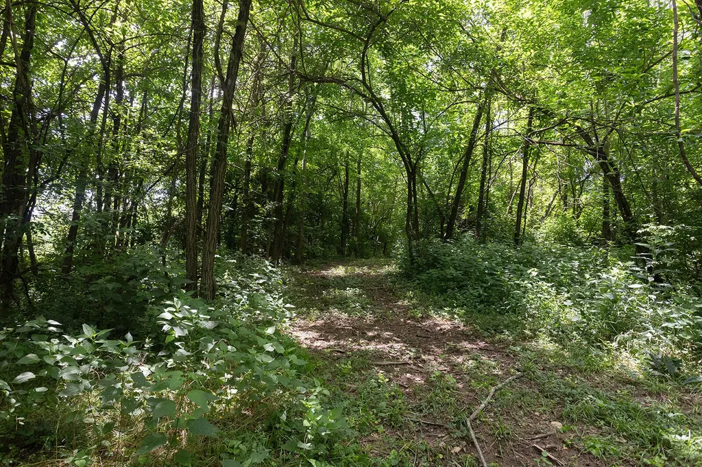 399 Harlow Lane Harrodsburg KY 40330