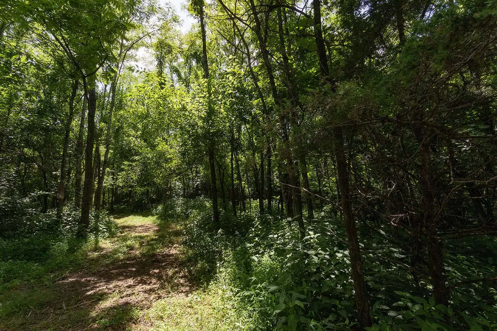 399 Harlow Lane Harrodsburg KY 40330
