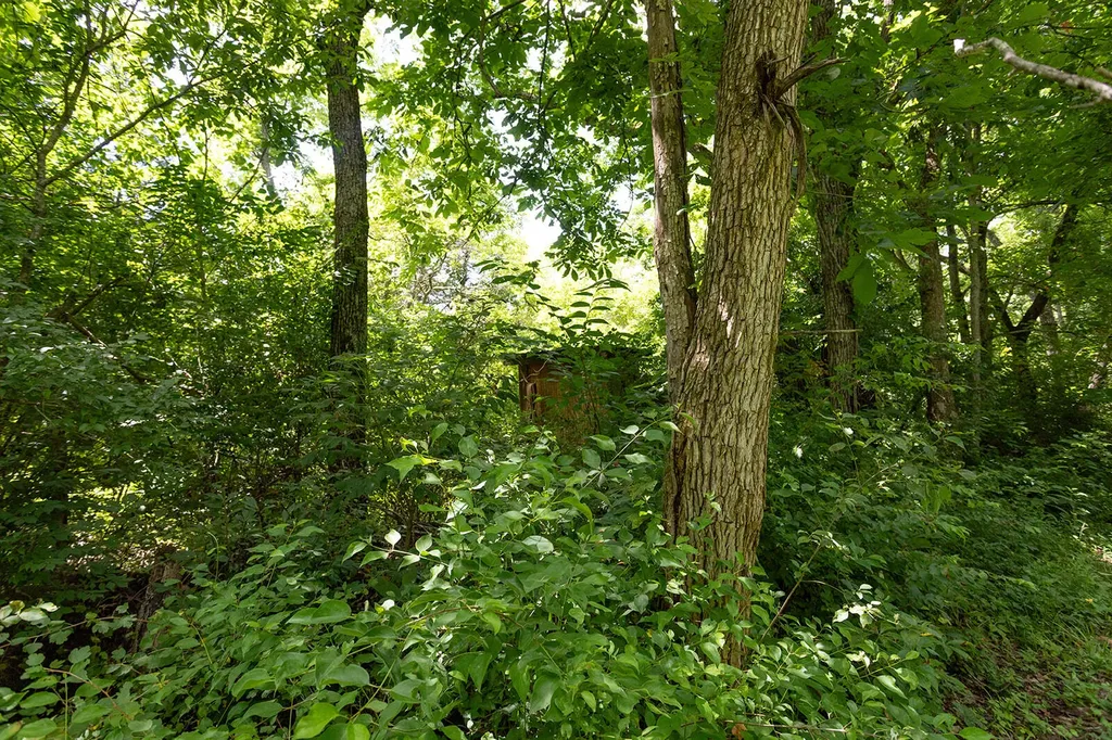 399 Harlow Lane Harrodsburg KY 40330
