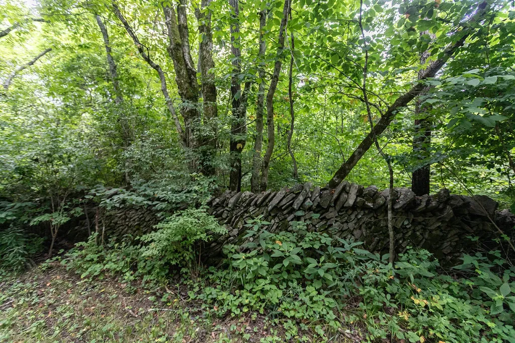 399 Harlow Lane Harrodsburg KY 40330