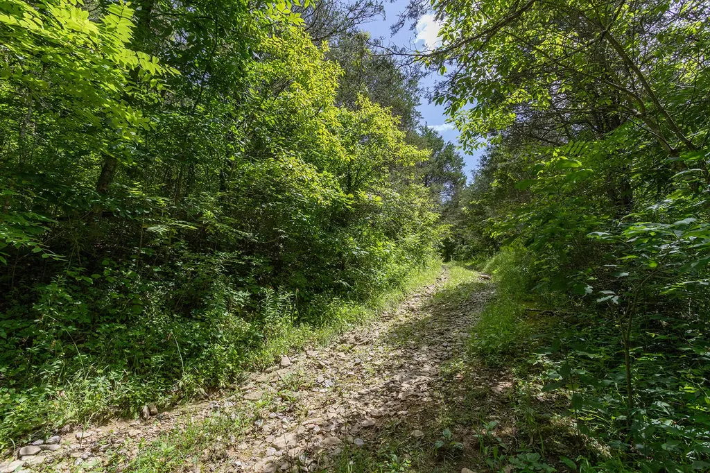 399 Harlow Lane Harrodsburg KY 40330