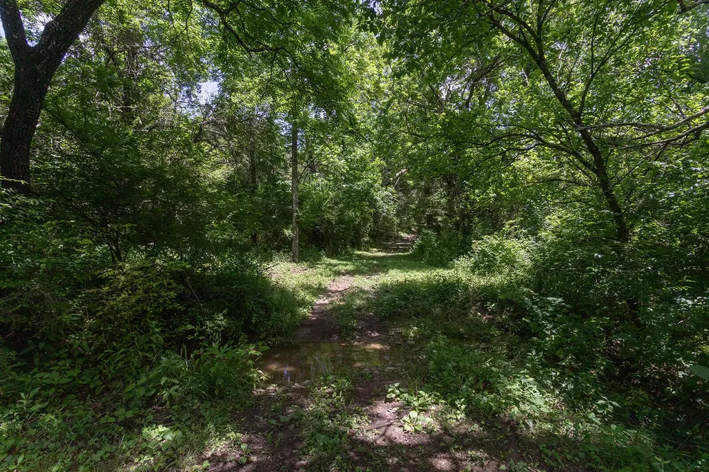 399 Harlow Lane Harrodsburg KY 40330