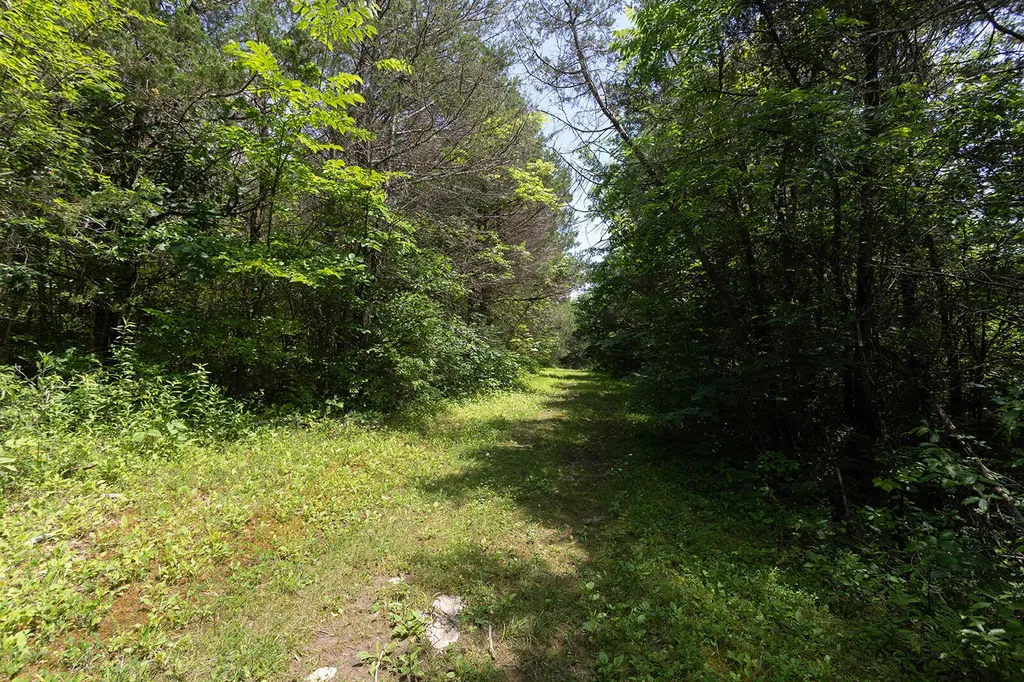 399 Harlow Lane Harrodsburg KY 40330