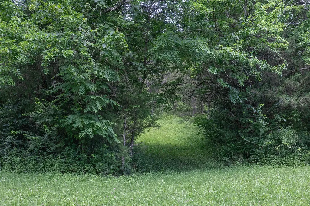 399 Harlow Lane Harrodsburg KY 40330