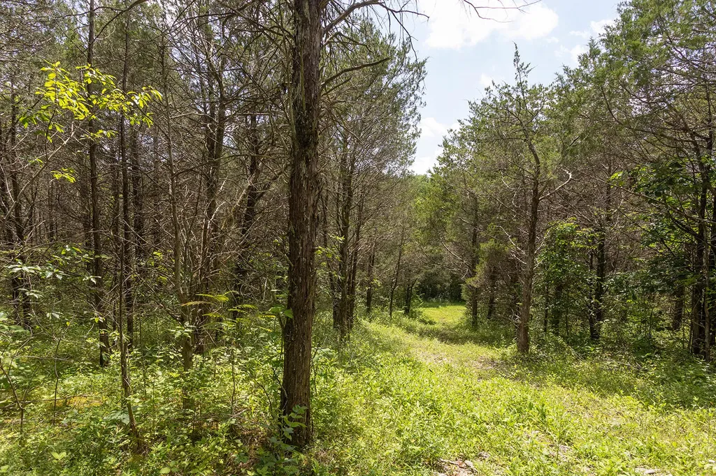 399 Harlow Lane Harrodsburg KY 40330