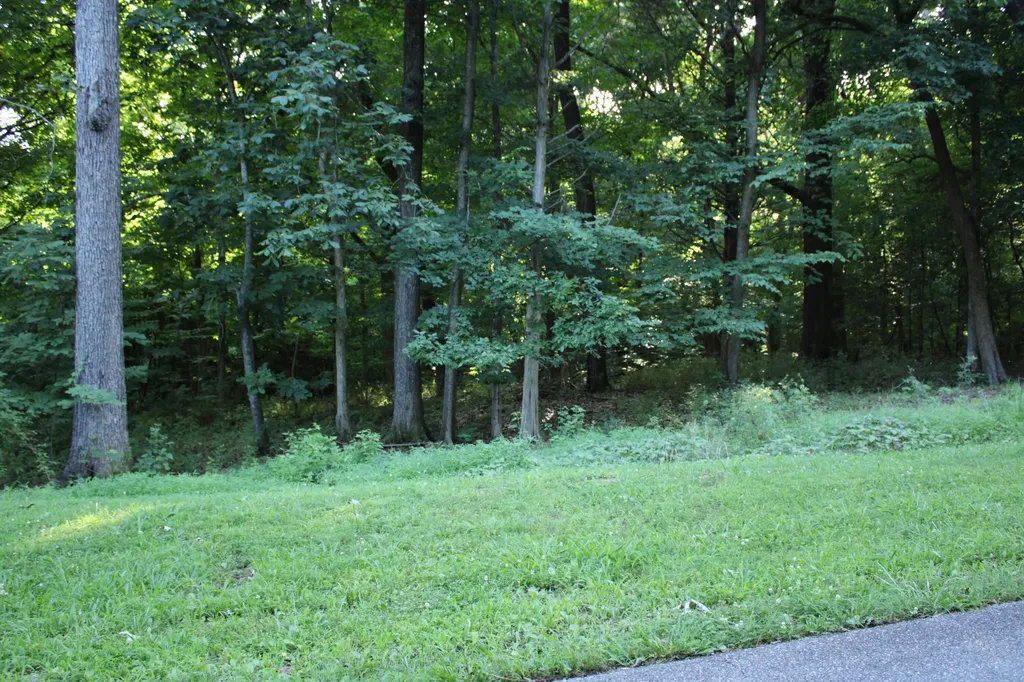 Lot #73 & #74 Rolling Mill Road Eddyville KY 42038