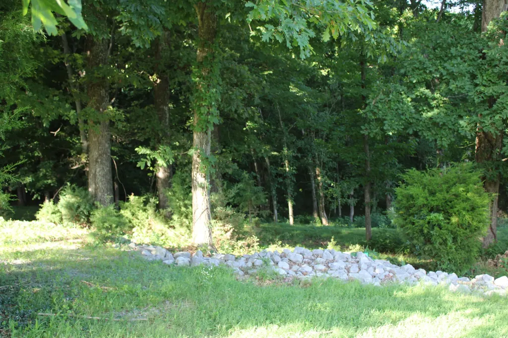 Lot #73 & #74 Rolling Mill Road Eddyville KY 42038