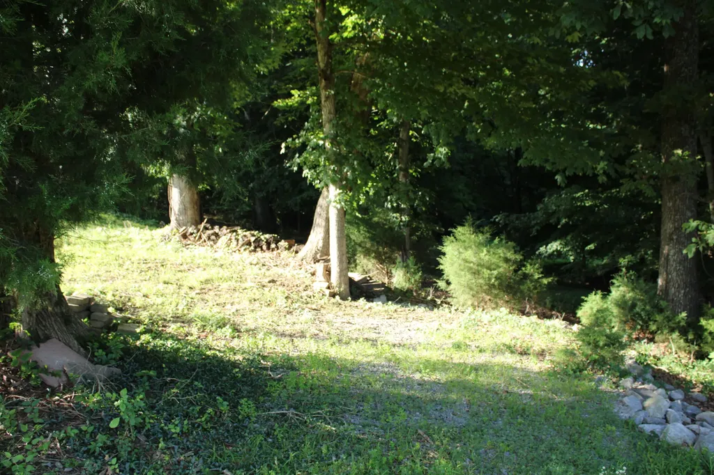 Lot #73 & #74 Rolling Mill Road Eddyville KY 42038