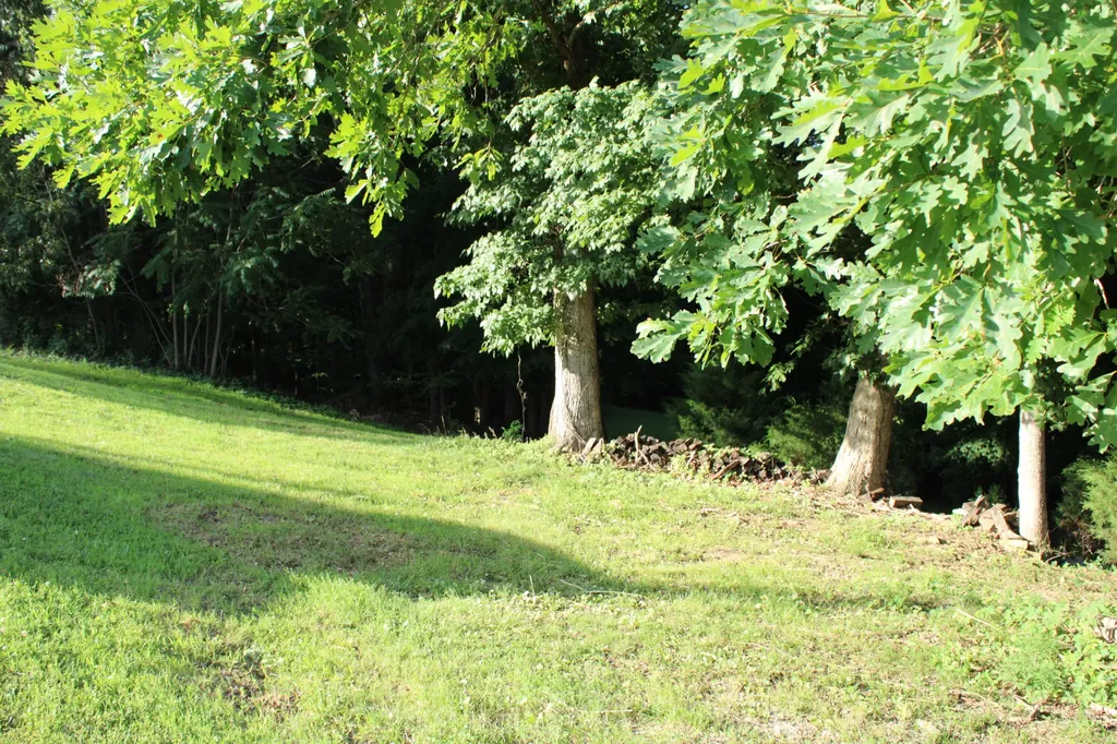 Lot #73 & #74 Rolling Mill Road Eddyville KY 42038