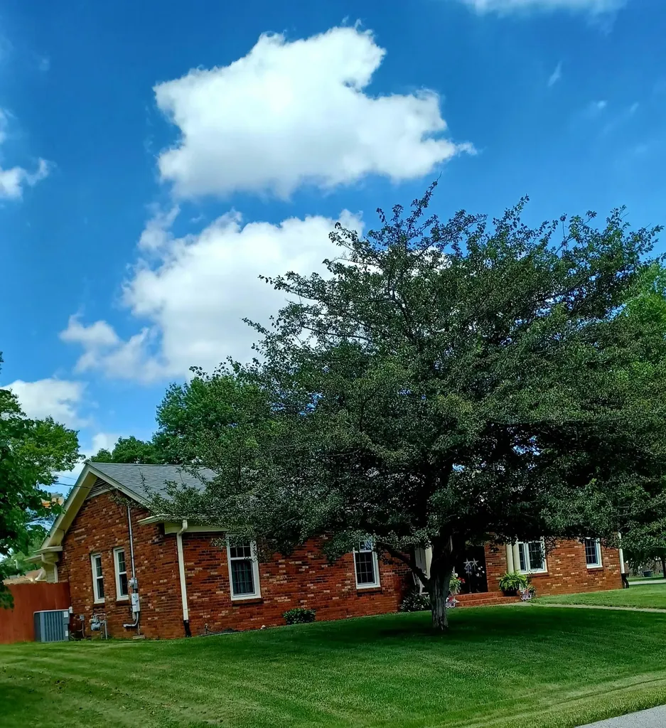 209 Pocahontas Trail Georgetown KY 40324