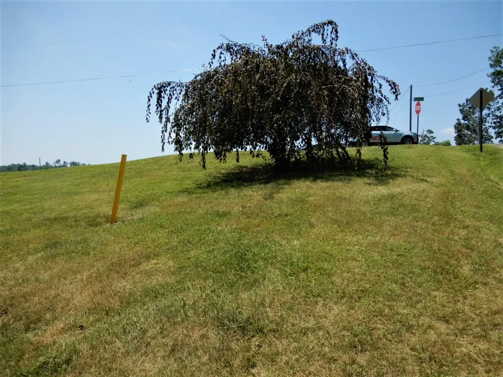 27 Paradise Point Gilbertsville KY 42044