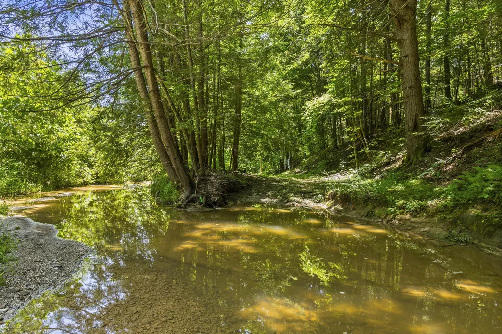 76 High Falls Creek Drive Campton KY 41301