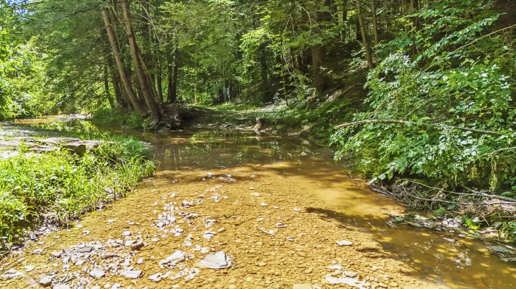 76 High Falls Creek Drive Campton KY 41301