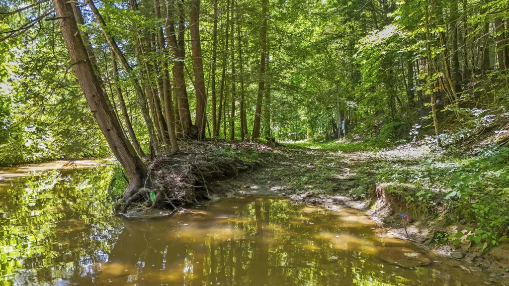 76 High Falls Creek Drive Campton KY 41301